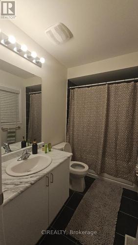 268 Bonnieglen Farm Boulevard, Caledon, ON - Indoor Photo Showing Bathroom