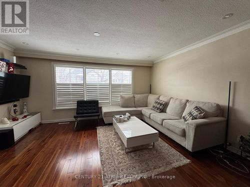 223 Hillcrest Avenue, Toronto, ON - Indoor Photo Showing Living Room