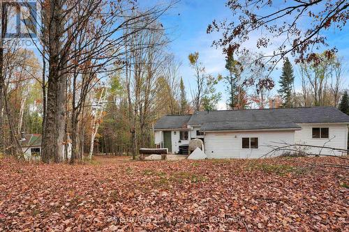 1919 Irondale Road, Highlands East, ON - Outdoor
