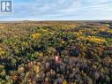 1919 Irondale Road, Highlands East, ON  - Outdoor With View 