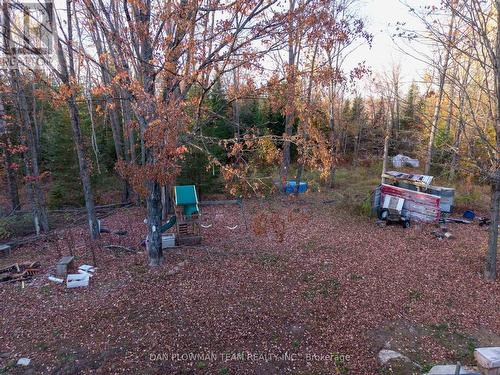 1919 Irondale Road, Highlands East, ON - Outdoor