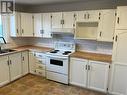 72 Newfoundland Drive, St John'S, NL  - Indoor Photo Showing Kitchen With Double Sink 