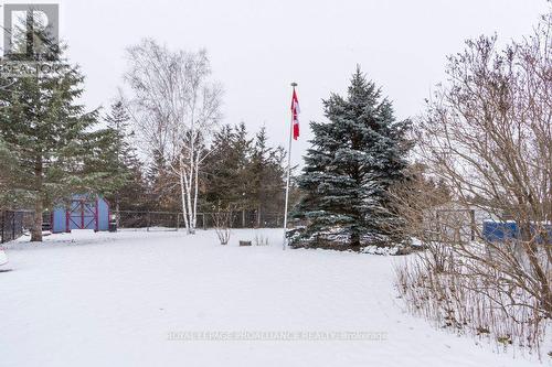 306 South Trent Street, Quinte West (Frankford Ward), ON - Outdoor