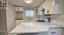 29 Folkstone Crescent, Kitchener, ON  - Indoor Photo Showing Kitchen With Double Sink 