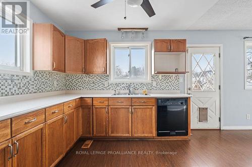 24 St Charles Street, Belleville (Belleville Ward), ON - Indoor Photo Showing Kitchen With Double Sink