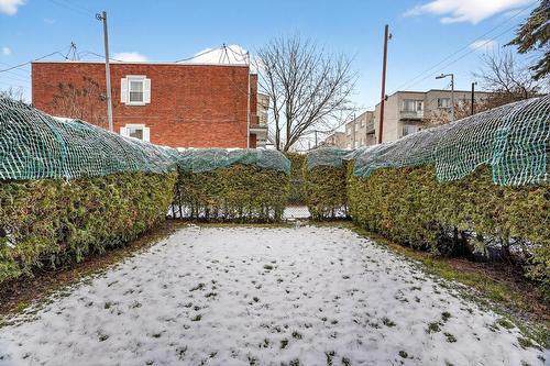 Cour - 3215  - 3217 Av. Laurier E., Montréal (Rosemont/La Petite-Patrie), QC - Outdoor