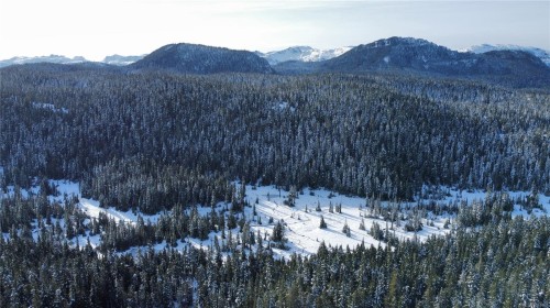 665 Arrowsmith Ridge, Courtenay, BC 