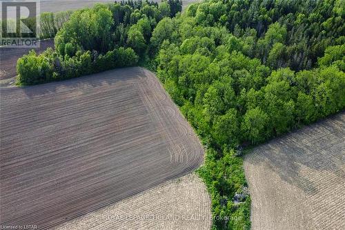 Shows creek running into start of wooded area - 27796 Nairn Road, North Middlesex, ON 