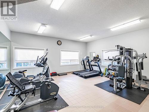 306 - 26 Hall Road, Halton Hills, ON - Indoor Photo Showing Gym Room