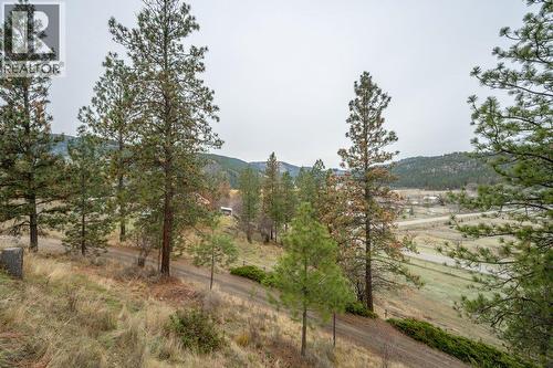 459 Johnson Crescent, Oliver, BC - Outdoor With View