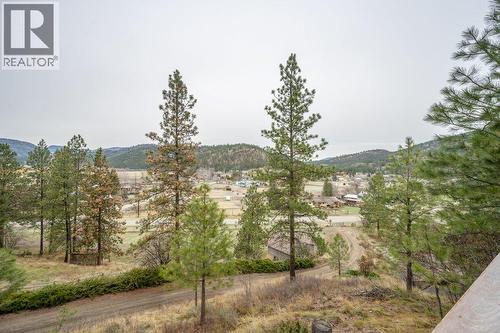 459 Johnson Crescent, Oliver, BC - Outdoor With View