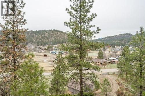 459 Johnson Crescent, Oliver, BC - Outdoor With View