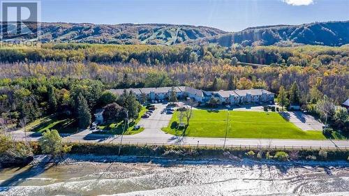 60 - 209472 Highway 26 W, Collingwood, ON - Outdoor With View