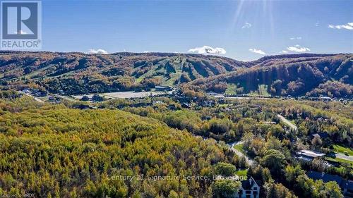 60 - 209472 Highway 26 W, Collingwood, ON - Outdoor With View