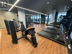 Gym - 
