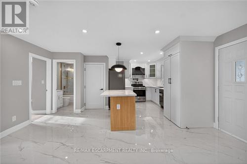 84 Blanmora Drive, Hamilton, ON - Indoor Photo Showing Kitchen