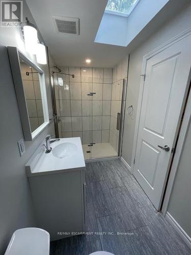 Main - 109 Waterloo Street, Kitchener, ON - Indoor Photo Showing Bathroom