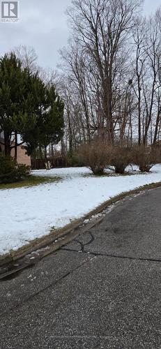 1133 Trowbridge Court, Oshawa, ON - Outdoor With View