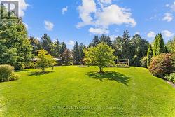 Generous space for hosting your guests. - 