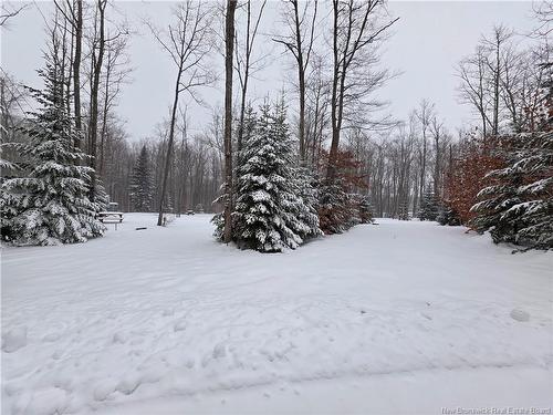 1353 17 Rte, Saint-Léonard-Parent, NB 
