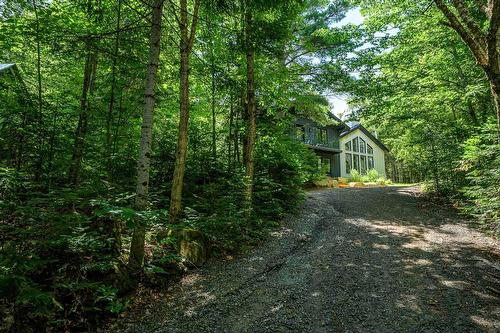 Façade - 3902 Ch. Paiement, Sainte-Agathe-Des-Monts, QC - Outdoor