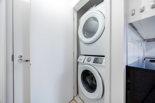 Salle de lavage - 411-1265 Rue Lambert-Closse, Montréal (Ville-Marie), QC - Indoor Photo Showing Laundry Room