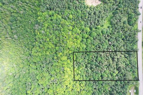 Photo aérienne - Route 204, Saint-Aubert, QC 