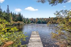 420 Ch. du Lac-Cornu  Saint-Adolphe-D'Howard, QC J0T 2B0