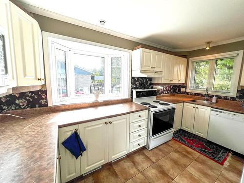 Cuisine - 1105 Rue Cardinal-Roy, Trois-Rivières, QC - Indoor Photo Showing Kitchen