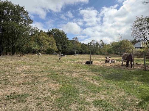 9431 Upper Clyde Road, Welshtown, NS 