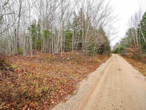 Old North Range Road, Ashmore, NS 