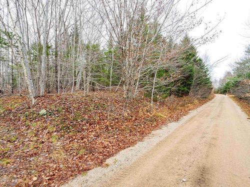 Old North Range Road, Ashmore, NS 