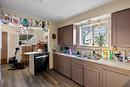 438 Alexander Avenue, Kamloops, BC  - Indoor Photo Showing Kitchen With Double Sink 