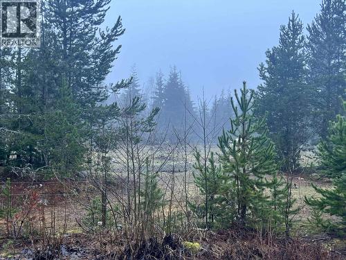 504 Williams Creek Road, Terrace, BC 