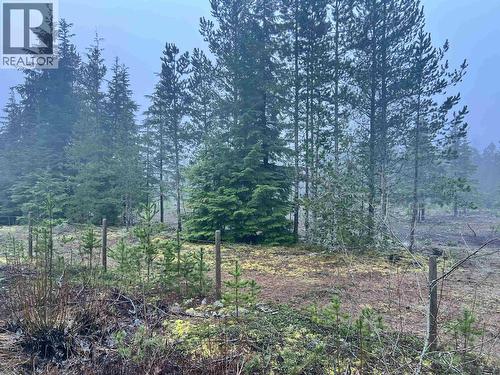 504 Williams Creek Road, Terrace, BC 