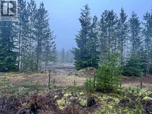 504 Williams Creek Road, Terrace, BC 