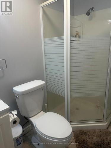 Bsmt - 79 Breton Avenue, Mississauga, ON - Indoor Photo Showing Bathroom