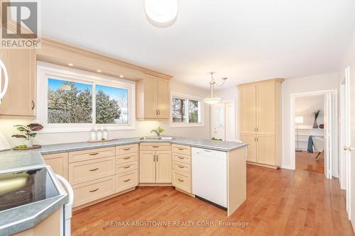 171 Sherwood Rise, Hamilton, ON - Indoor Photo Showing Kitchen With Double Sink