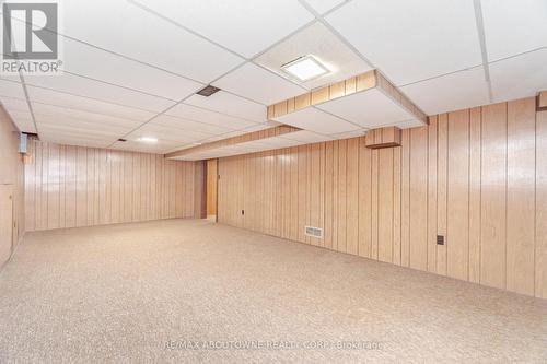 171 Sherwood Rise, Hamilton, ON - Indoor Photo Showing Basement