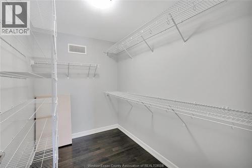 470 Old Colony Trail, Amherstburg, ON - Indoor With Storage