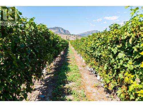 7337 Highway 97, Oliver, BC 