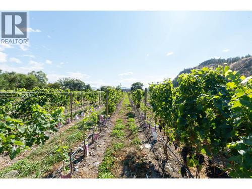 7337 Highway 97, Oliver, BC 