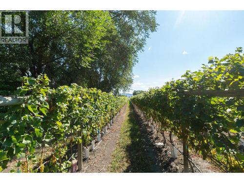 7337 Highway 97, Oliver, BC 