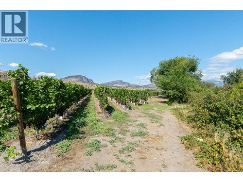 7337 Highway 97, Oliver, BC 