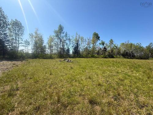 Lot 1 Henderson Road, Tatamagouche, NS 