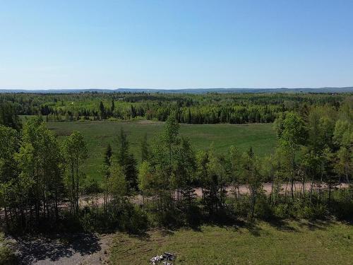 Lot 1 Henderson Road, Tatamagouche, NS 