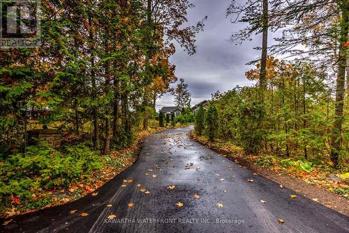 Roadside - 48 Maple Avenue, Kawartha Lakes (Bexley), ON 