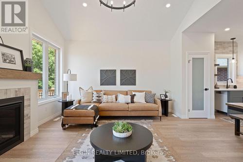 25 Dunning Way, St. Thomas, ON - Indoor Photo Showing Living Room With Fireplace