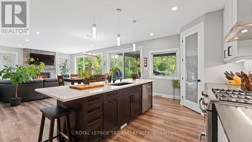 8443 Goosemarsh Line, Lambton Shores, ON - Indoor Photo Showing Kitchen With Upgraded Kitchen