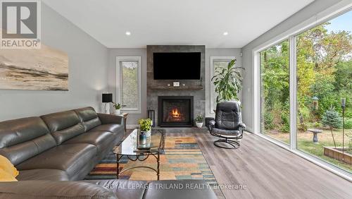8443 Goosemarsh Line, Lambton Shores, ON - Indoor Photo Showing Living Room With Fireplace